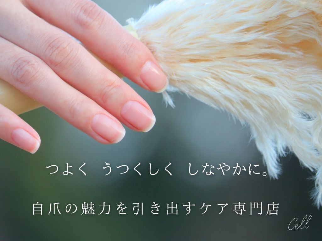 自爪のきれいをお楽しみいただける<br />ネイルケア専門店です